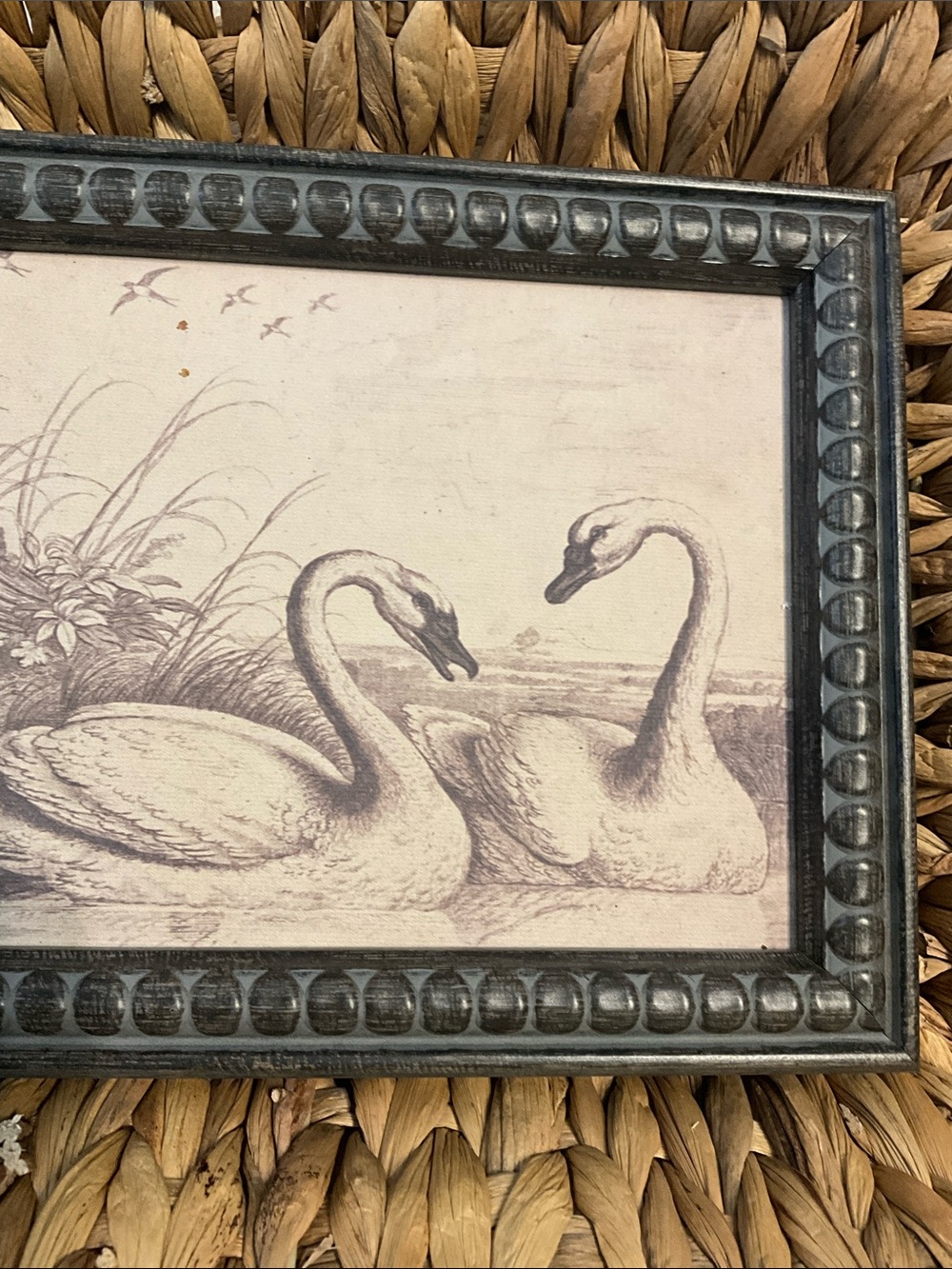 Vintage Swan Illustration in Black Carved Frame - Picture 3 of 3